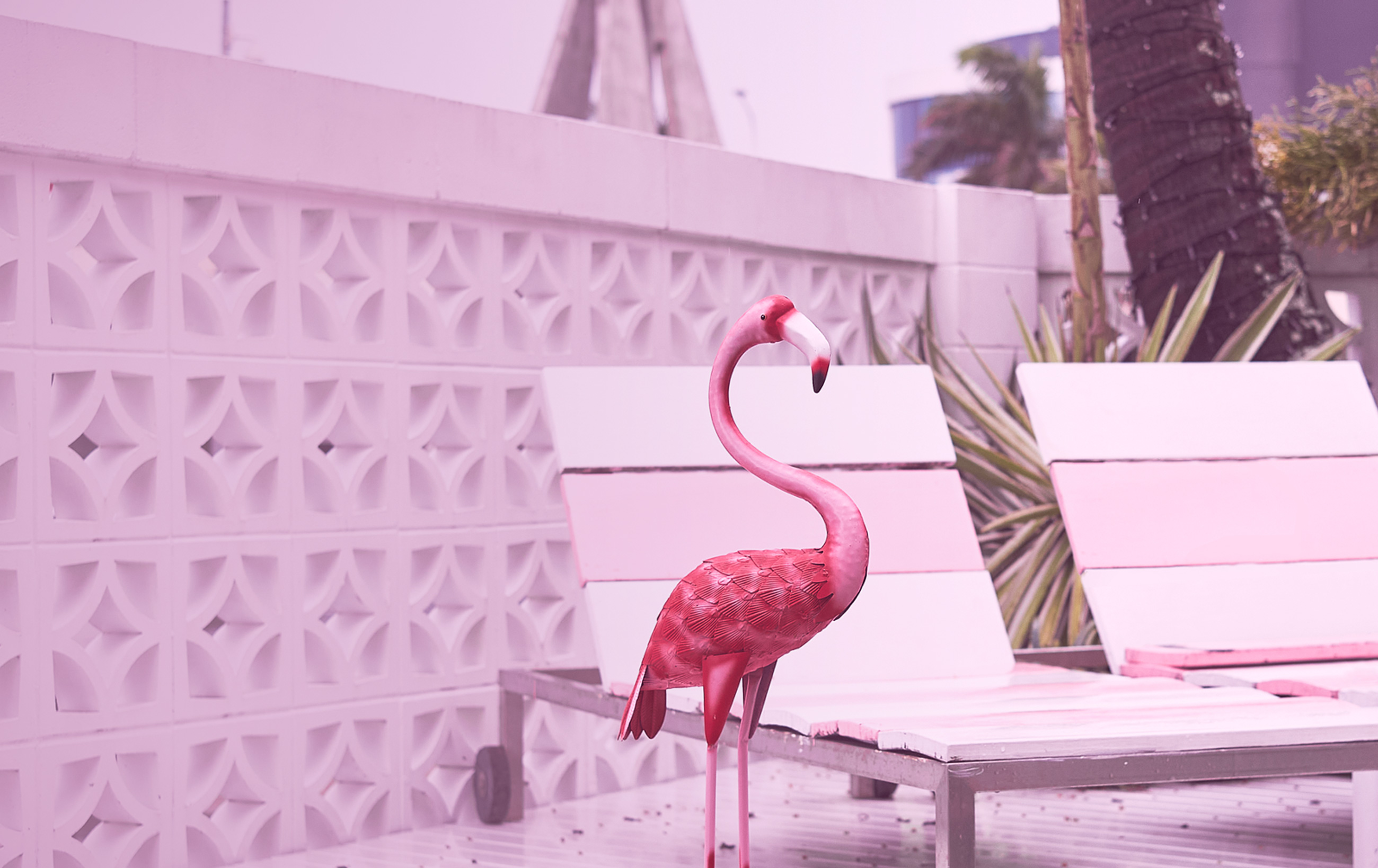 A top view of a pool